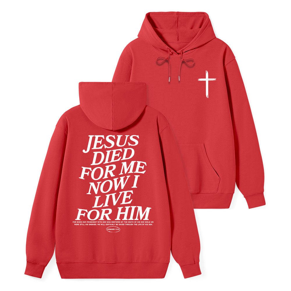 Premium Hoodie Hot 13